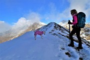 37 In saliscnendi sulla cresta di vetta innevata del Grem